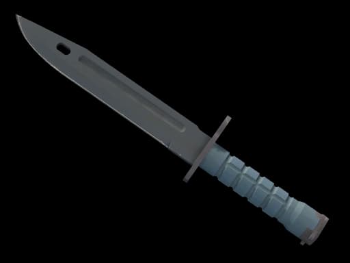 Bayonet