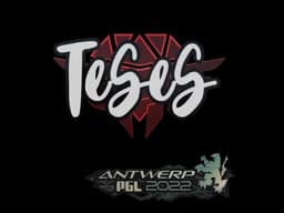 Sticker | TeSeS | Antwerp 2022