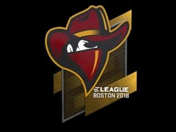 Sticker | Renegades | Boston 2018