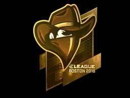 Sticker | Renegades (Gold) | Boston 2018