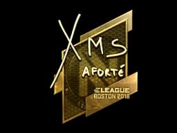 Sticker | xms (Gold) | Boston 2018