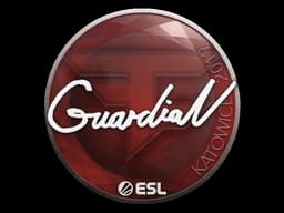 Sticker | GuardiaN | Katowice 2019