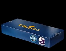 ESL One Cologne 2014 Cobblestone Souvenir Package